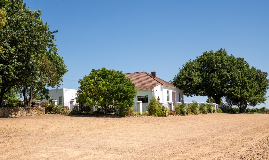 4 Bedroom Property for Sale in Stellenbosch Farms Western Cape